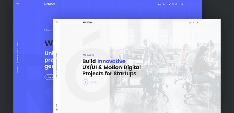 Agency Website